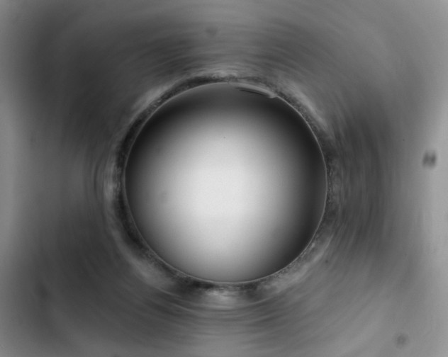 X0000102790164200808181309