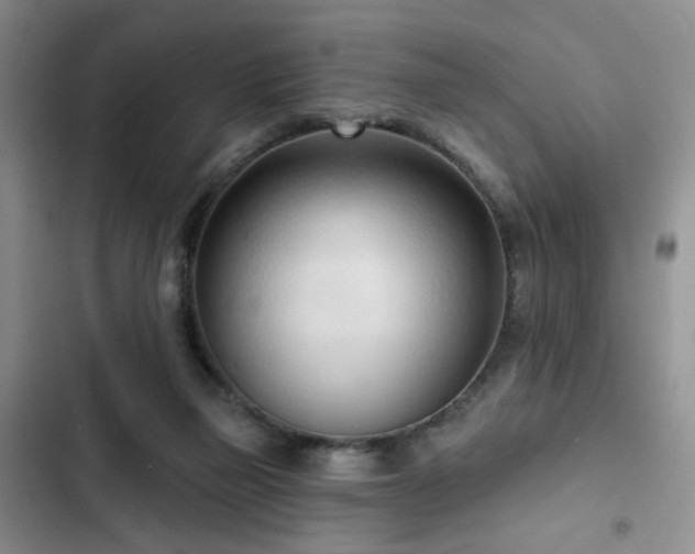 X0000102790165200808181309