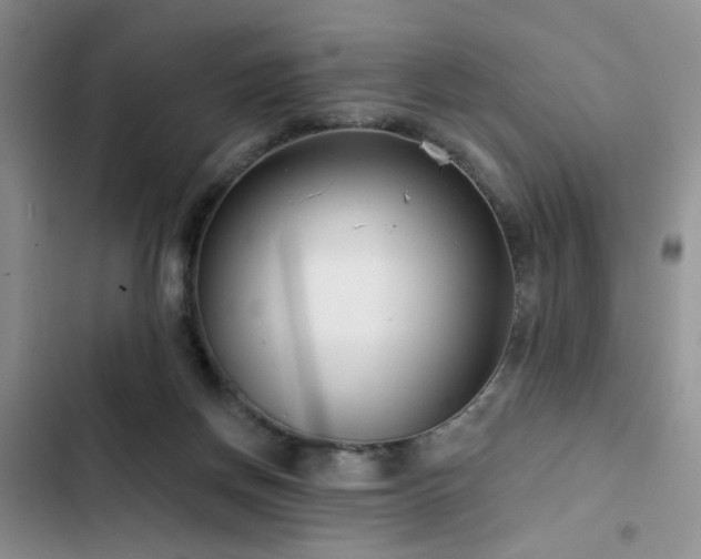 X0000102790166200808181309