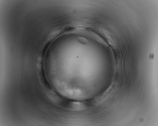 X0000102790167200808181309