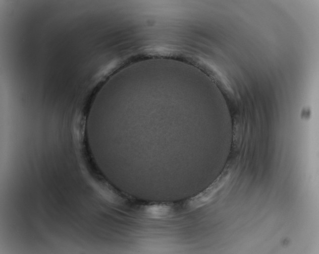 X0000102790168200808181309