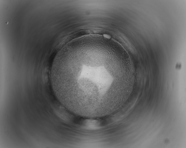 X0000102790169200808181309