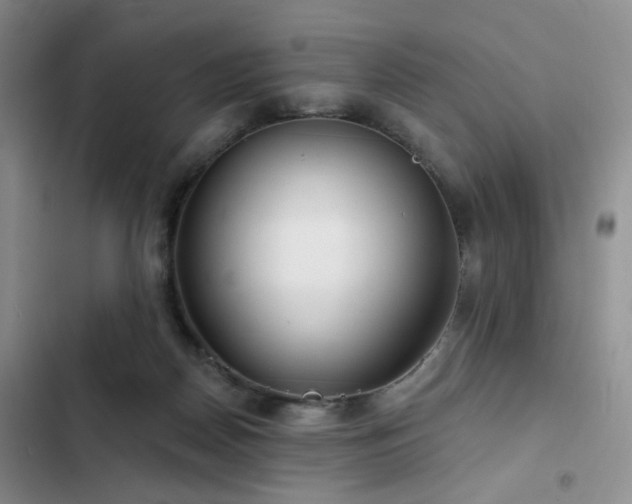 X0000102790170200808181309