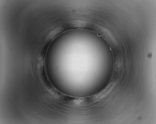 X0000102790172200808181309