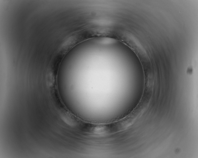 X0000102790173200808181309