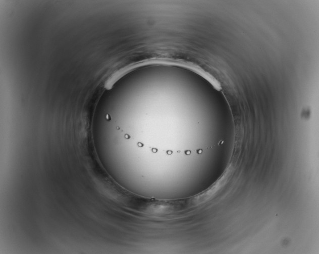 X0000102790174200808181309