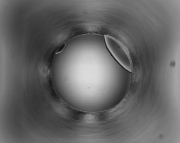 X0000102790176200808181309