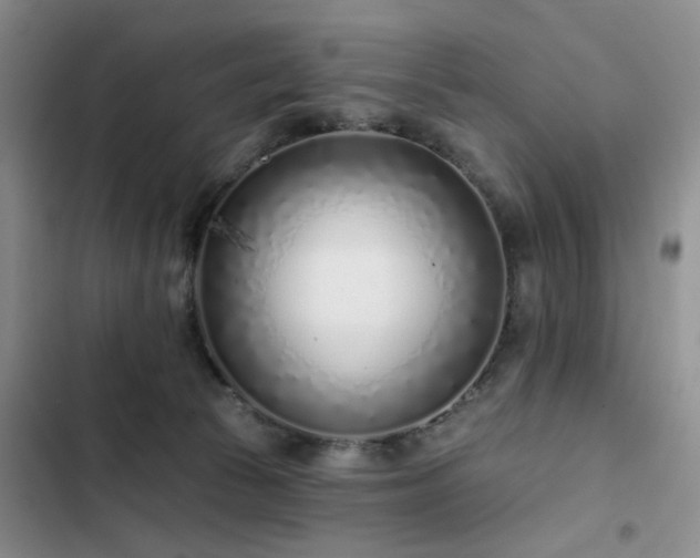 X0000102790177200808181309