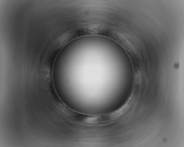 X0000102790178200808181309
