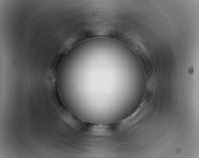 X0000102790179200808181309