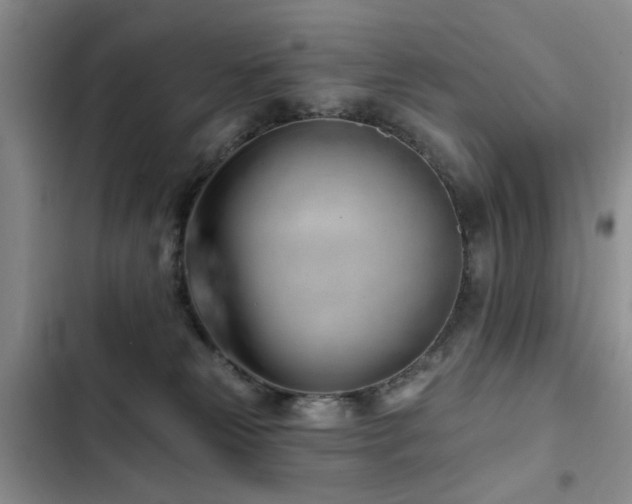 X0000102790181200808181309