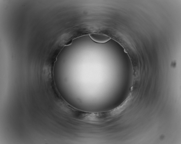 X0000102790182200808181309