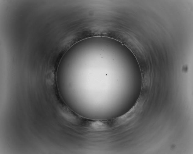 X0000102790183200808181309