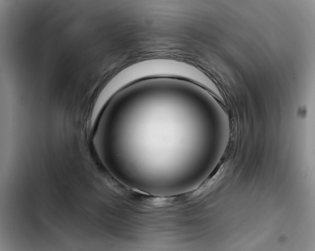 X0000102790184200808181309