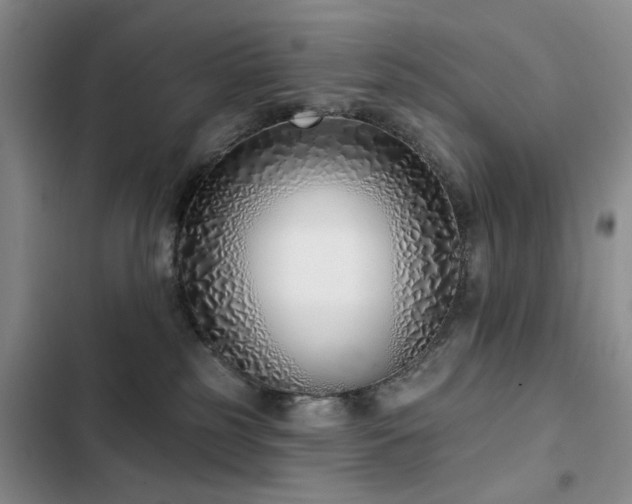 X0000102790185200808181309