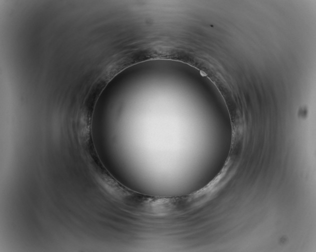 X0000102790186200808181309