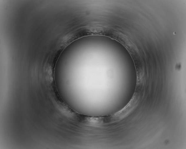 X0000102790187200808181309