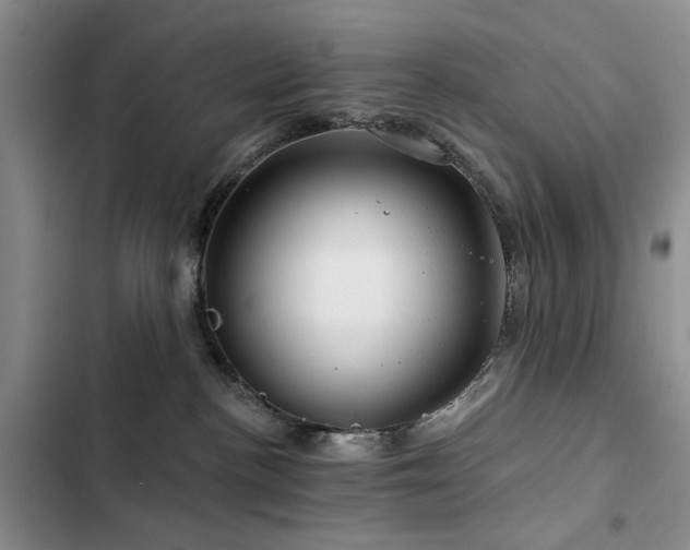 X0000102790188200808181309