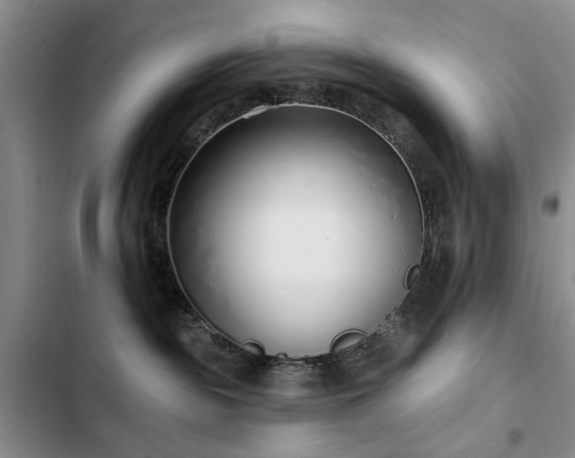 X0000102790189200808181309