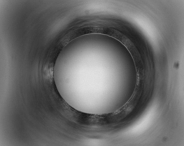 X0000102790190200808181309