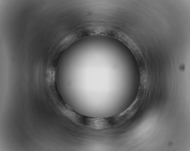 X0000102790191200808181309