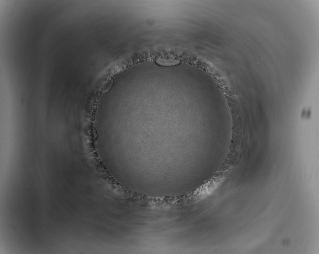 X0000102790192200808181309