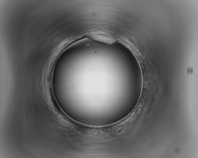X0000102790193200808181308