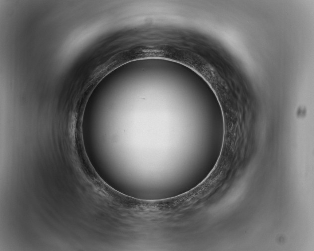 X0000102790194200808181308
