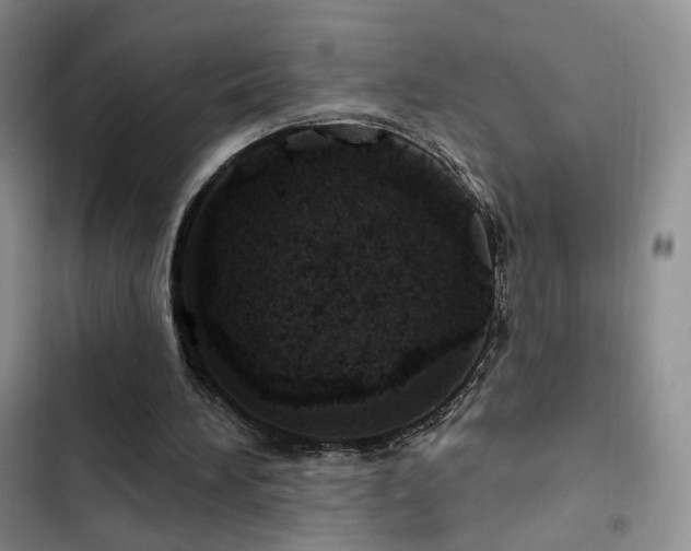 X0000102790196200808181308