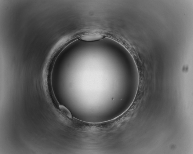 X0000102790197200808181308