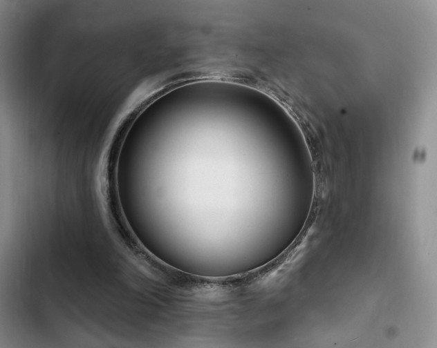 X0000102790198200808181308