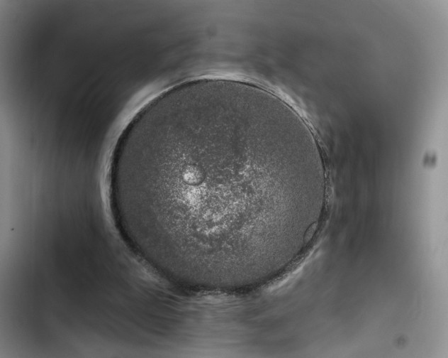 X0000102790199200808181308