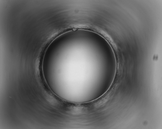 X0000102790201200808181308