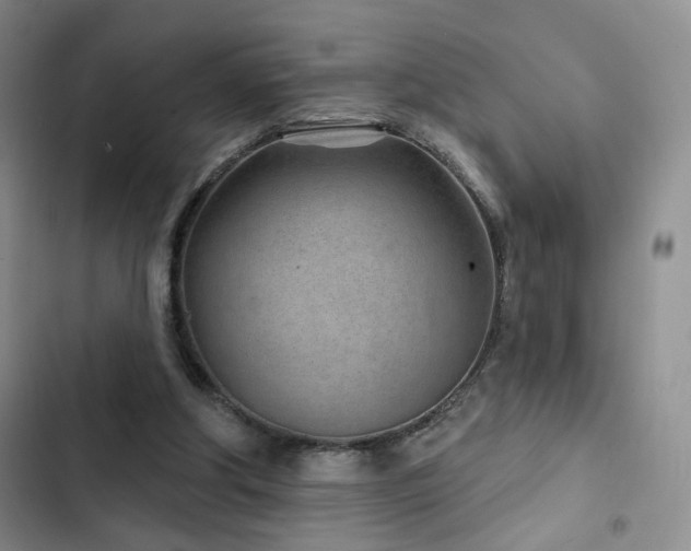 X0000102790202200808181308