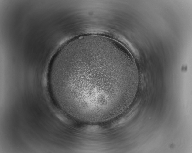 X0000102790203200808181308