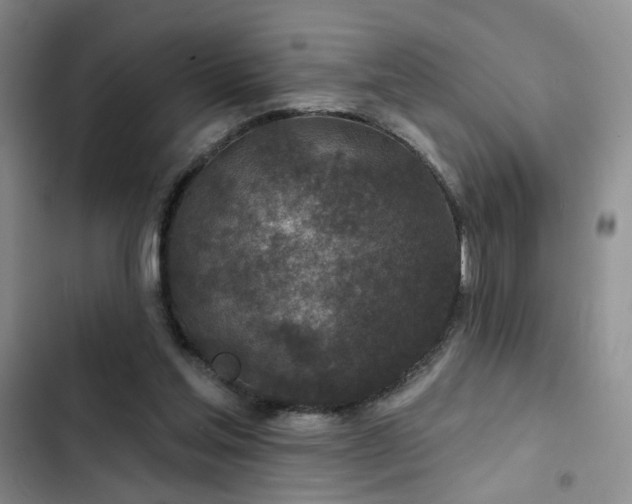 X0000102790205200808181308