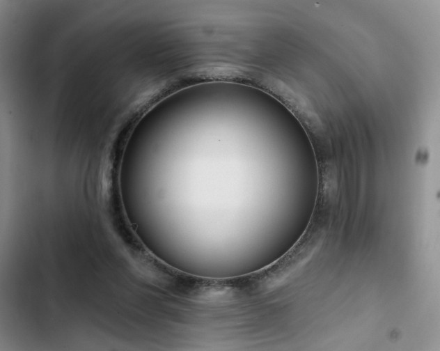 X0000102790206200808181308