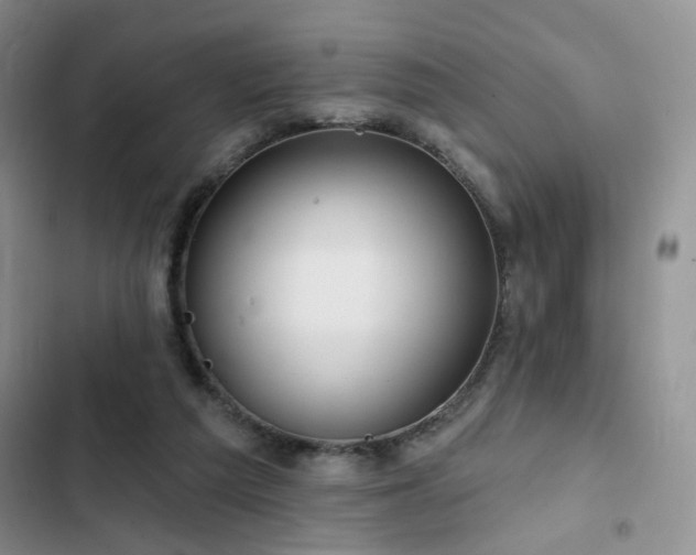 X0000102790209200808181308