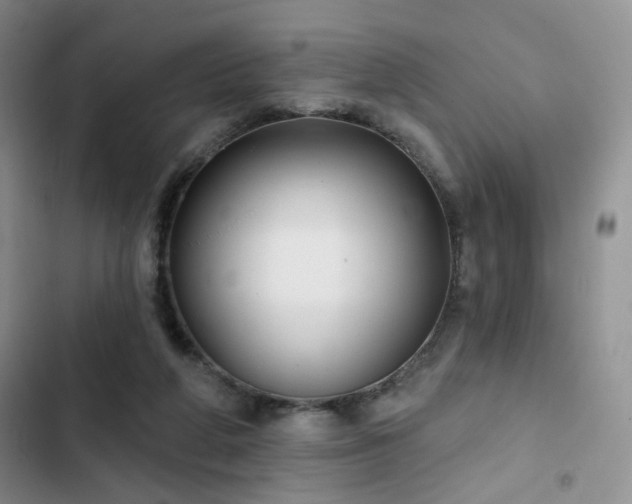 X0000102790210200808181308