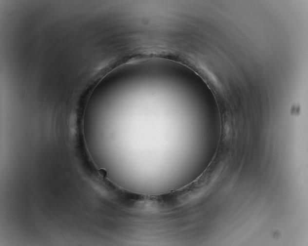 X0000102790211200808181308