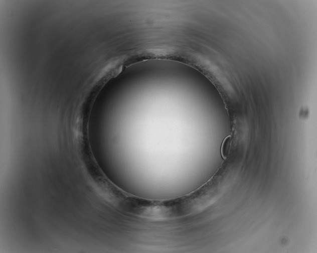 X0000102790212200808181308