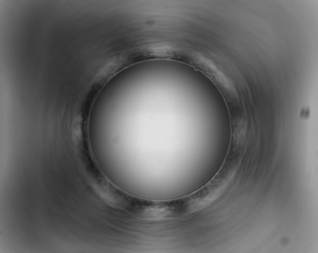 X0000102790213200808181308