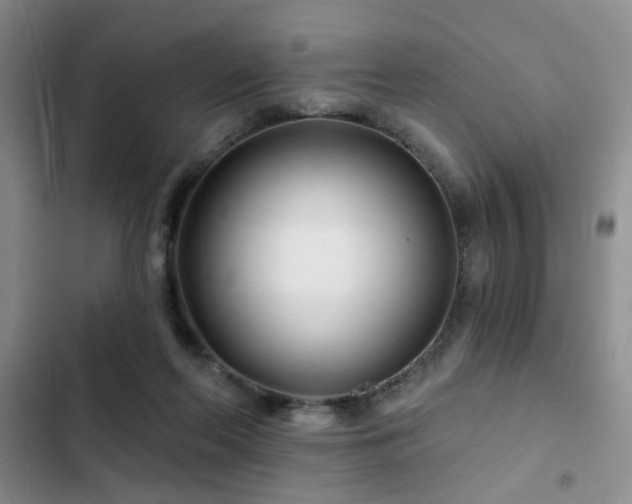 X0000102790214200808181308