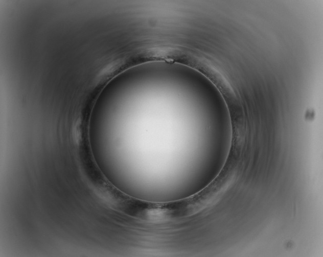 X0000102790216200808181308
