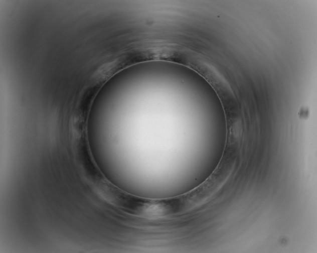 X0000102790218200808181308