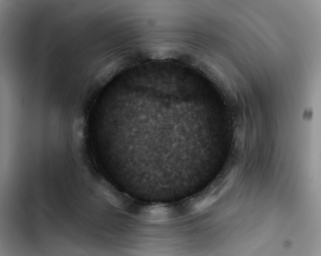 X0000102790219200808181308