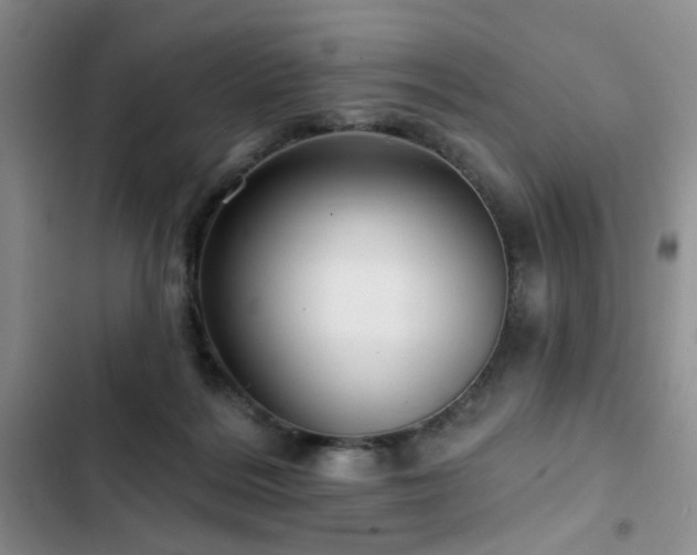X0000102790220200808181308