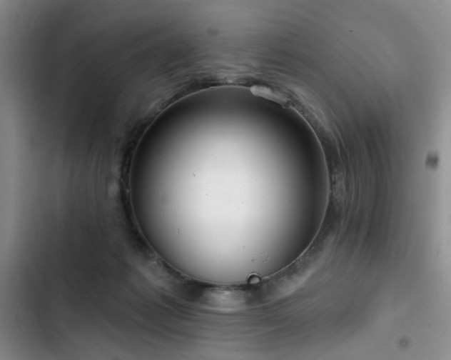 X0000102790221200808181308