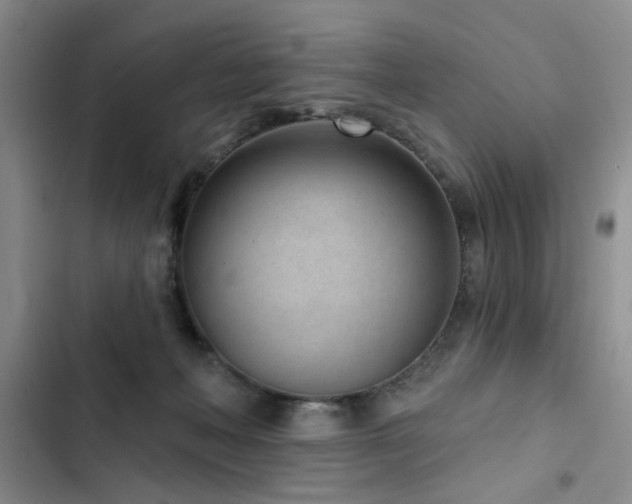 X0000102790222200808181308