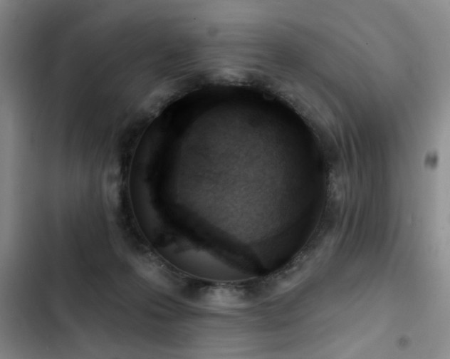 X0000102790223200808181308